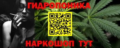 крисы Малгобек