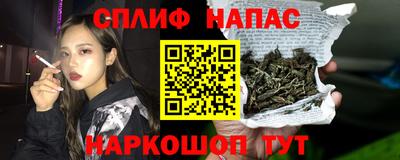 крисы Малгобек