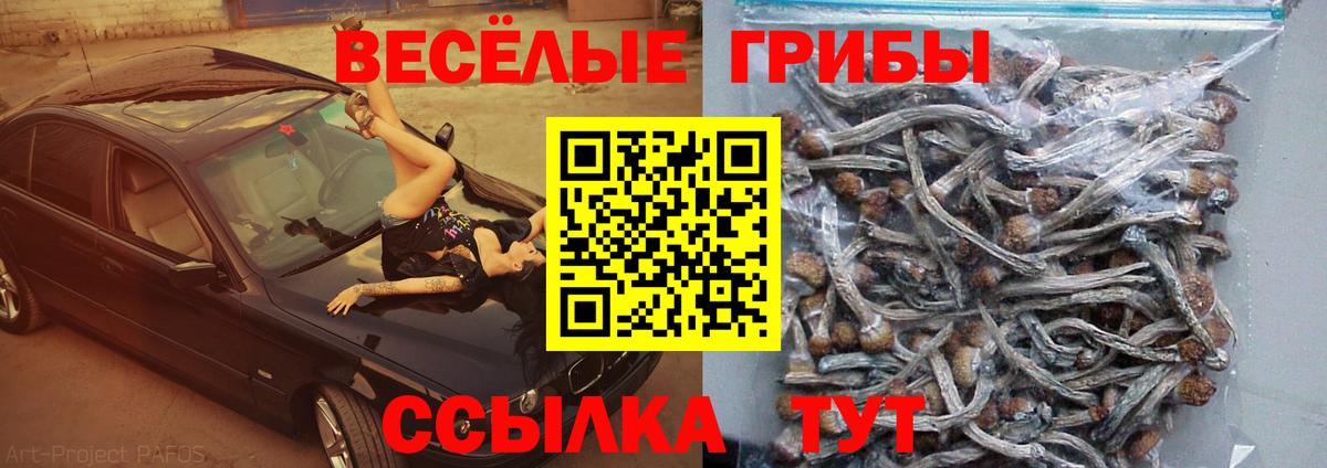 Аксай  Псилоцибиновые грибы мицелий  Вход с VPN 